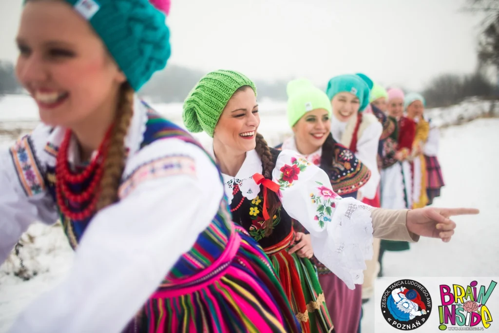 Czy wełna merino gryzie